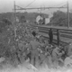 Illustration for article titled A Huge Batch Of Unseen WWII Photos Have Been Discovered And Restored